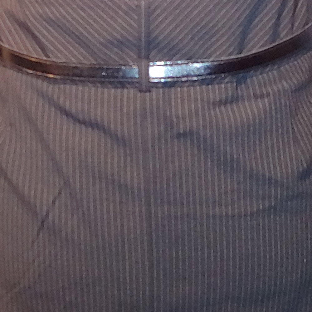 Express Design Studio Skirt - Picture 4 of 8